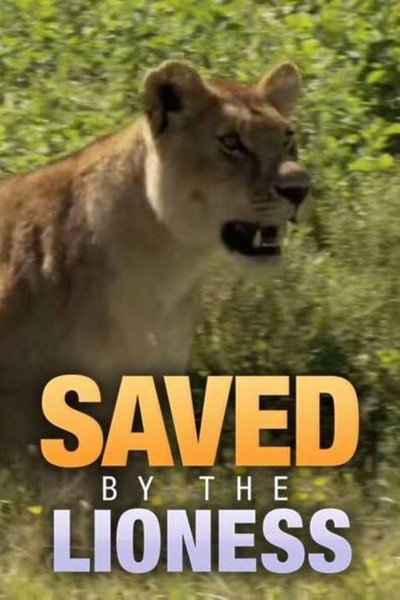 Póster de Saved by the Lioness