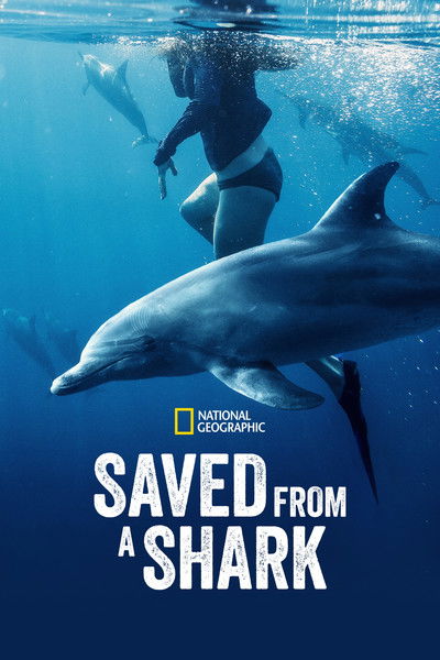 Póster de Saved from a Shark