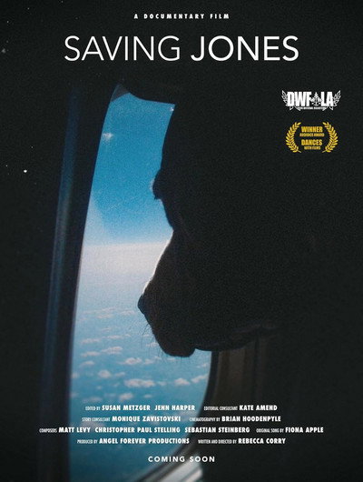 Póster de Saving Jones