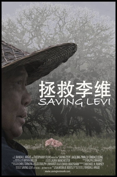 Póster de Saving Levi