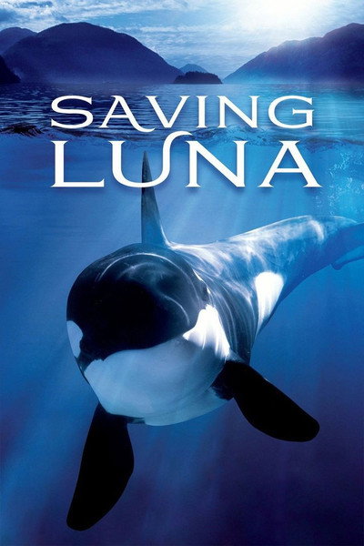 Póster de Saving Luna