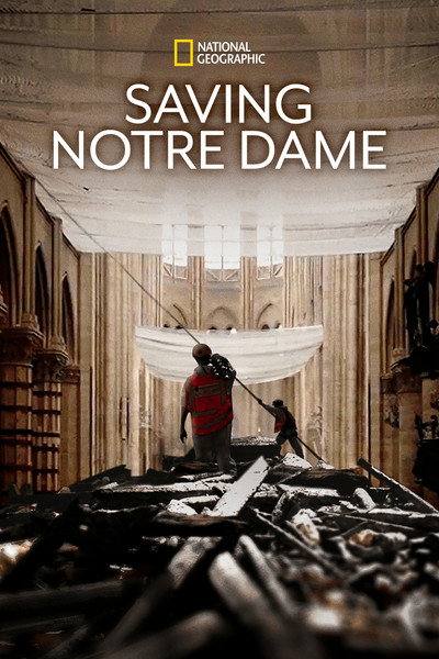Póster de Saving Notre-Dame