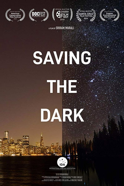 Póster de Saving the Dark