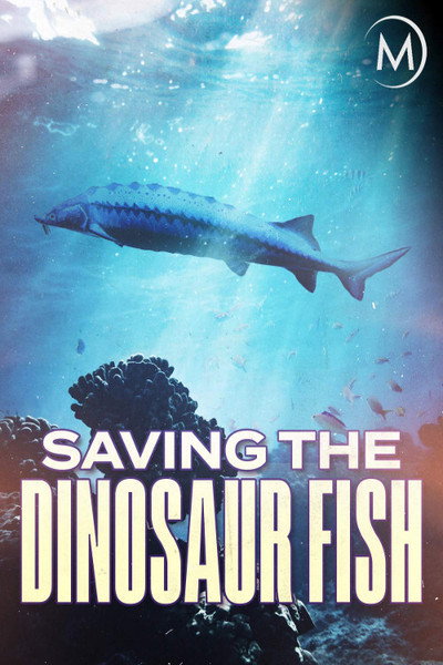Póster de Saving the Dinosaur Fish