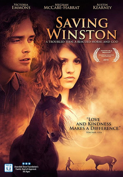Póster de Saving Winston