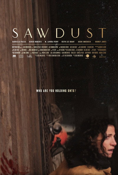Póster de Sawdust