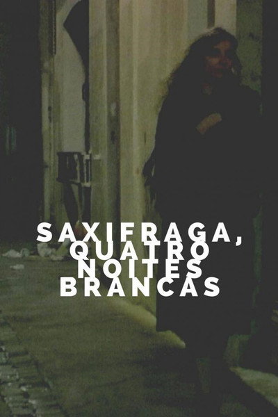 Póster de Saxifrages, Four White Nights