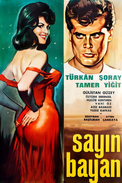 Póster de Sayin bayan