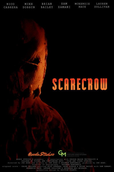 Póster de Scarecrow