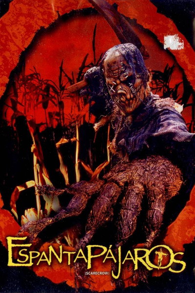 Póster de Scarecrow
