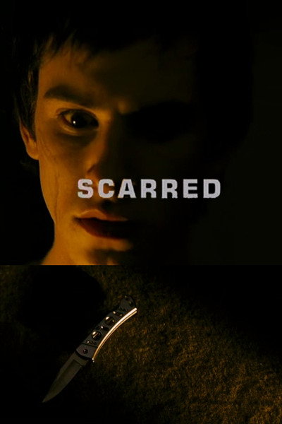 Póster de Scarred
