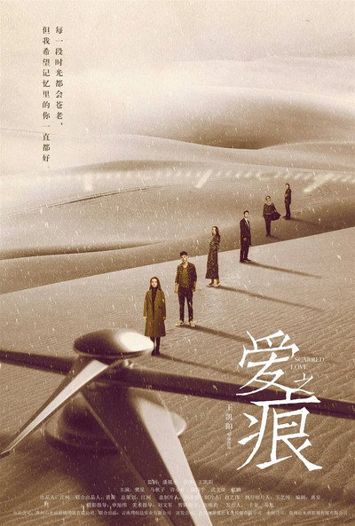 Póster de Scarred Love
