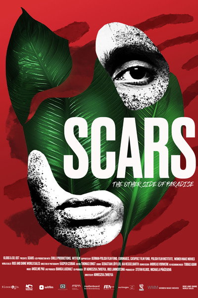 Póster de Scars