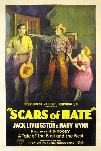 Póster de Scars of Hate