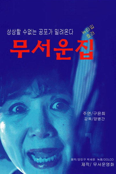 Póster de Scary House