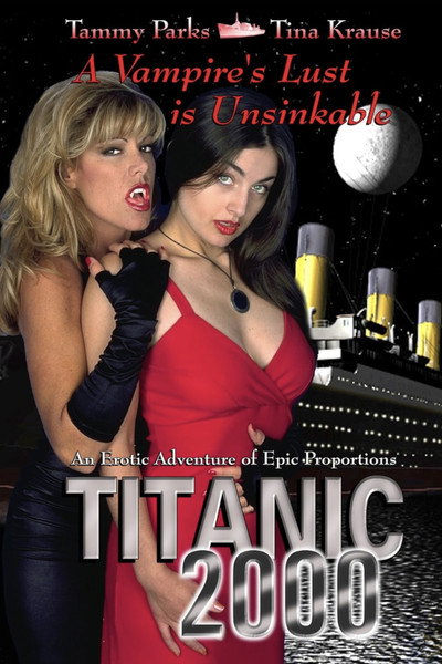 Póster de Scary Sexy Disaster Movie