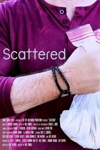 Póster de Scattered