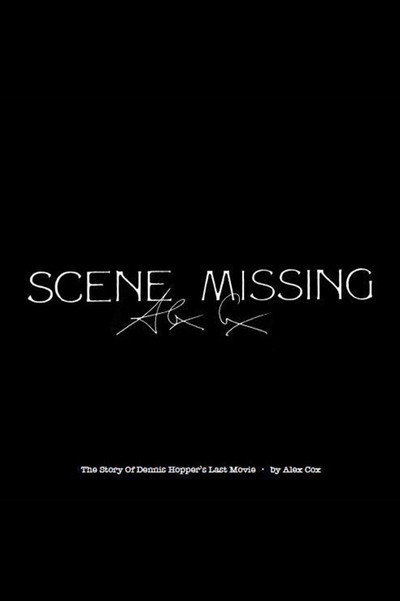 Póster de Scene Missing