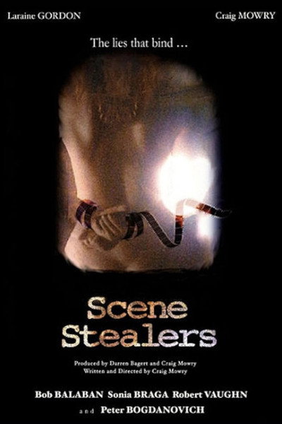 Póster de Scene Stealers