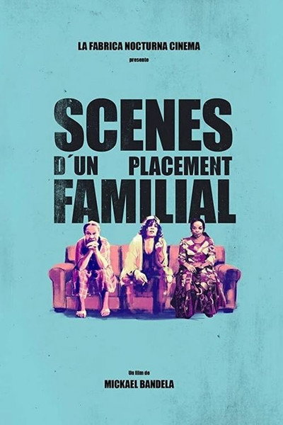 Póster de Scènes d'un placement familial