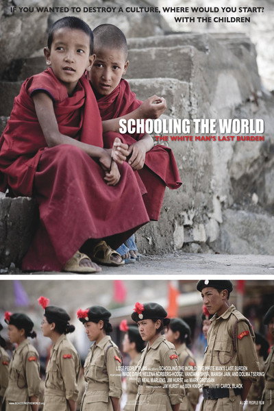 Póster de Schooling the World
