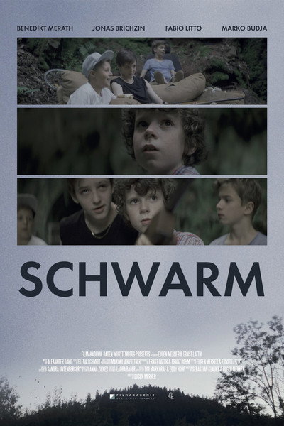Póster de Schwarm