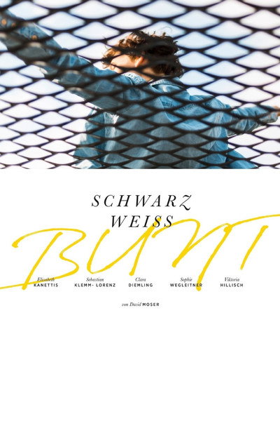 Póster de Schwarz Weiss Bunt