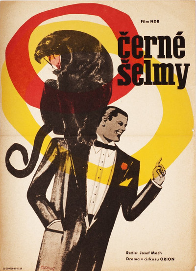 Póster de Schwarze Panther