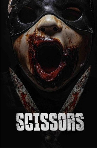 Póster de Scissors