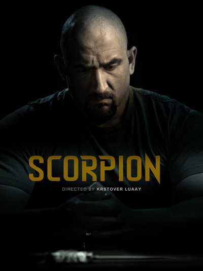 Póster de Scorpion