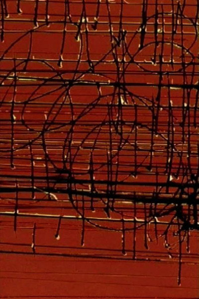 Póster de Scratch