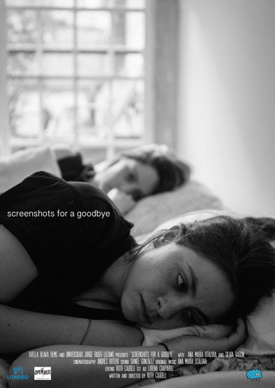 Póster de Screenshots for a Goodbye