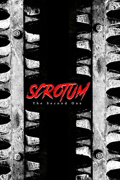 Póster de Scrotum: The Second One