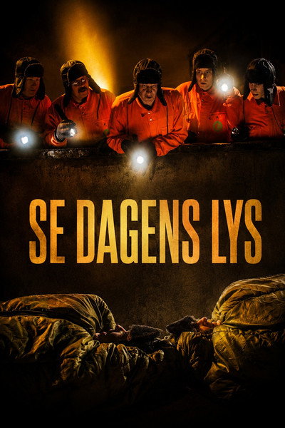 Póster de Se dagens lys