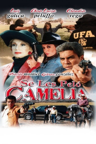 Póster de Se les peló Camelia: La burrera