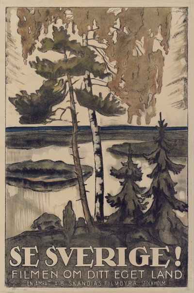 Póster de Se Sverige! : Filmen om ditt eget land