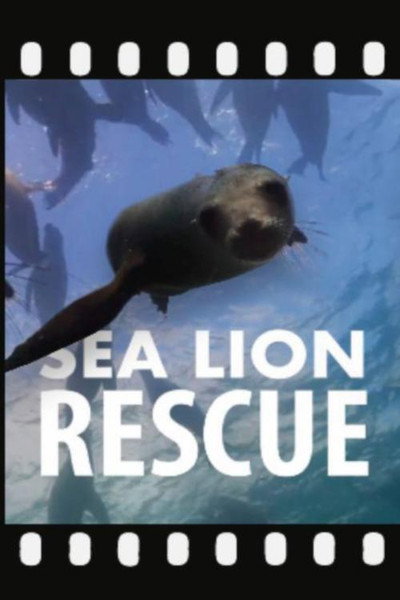 Póster de Sea Lion Rescue