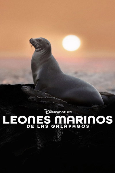Póster de Sea Lions of the Galapagos