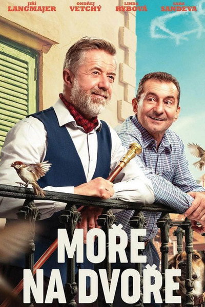 Póster de Sea of Hope