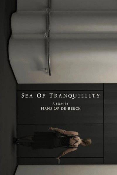 Póster de Sea of Tranquillity