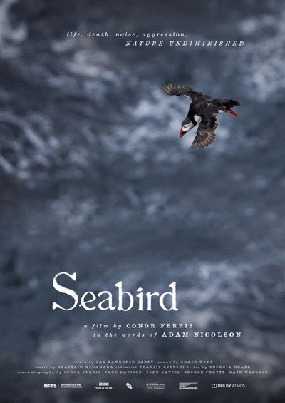 Póster de Seabird