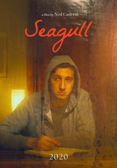 Póster de Seagull