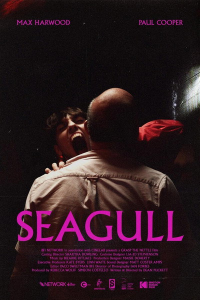 Póster de Seagull