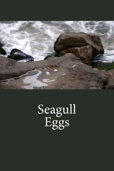 Póster de Seagull Eggs