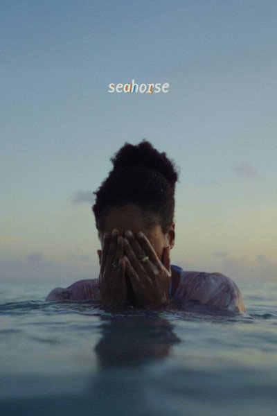Póster de Seahorse