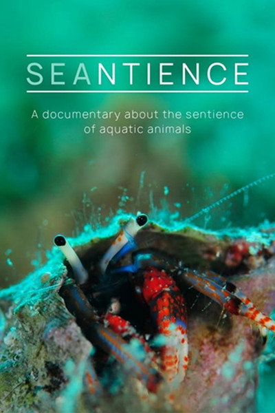 Póster de Seantience
