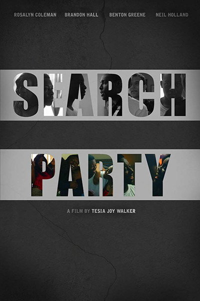Póster de Search Party