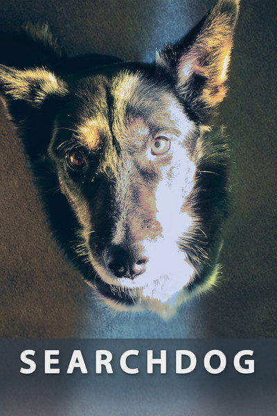 Póster de Searchdog