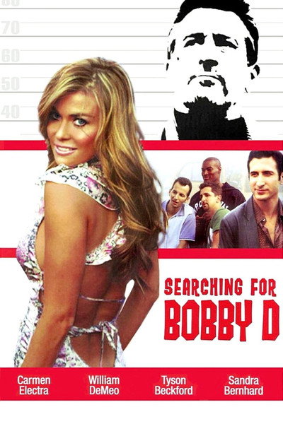 Póster de Searching for Bobby D
