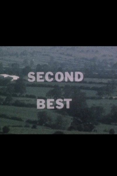 Póster de Second Best
